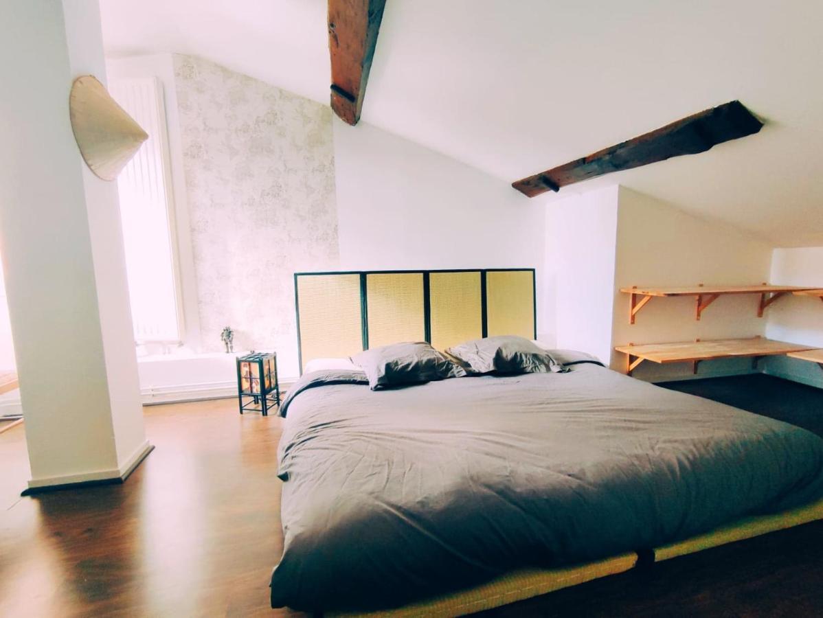 Superbe Appartement Duplex Centre Ville De Mâcon Exteriör bild